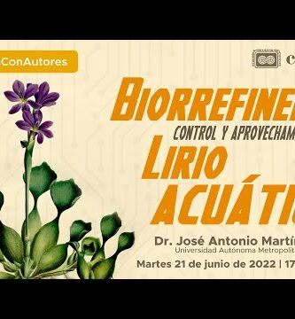 Lirio acuático: belleza acuática en tu jardín