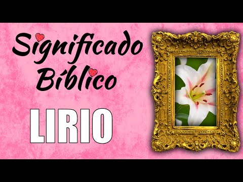 Lirio Morado: Descubre la belleza y significado de esta flor única