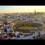 La Lirio Sevilla: Descubre la belleza de esta flor en la ciudad andaluza