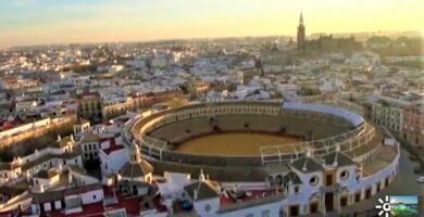 La Lirio Sevilla: Descubre la belleza de esta flor en la ciudad andaluza