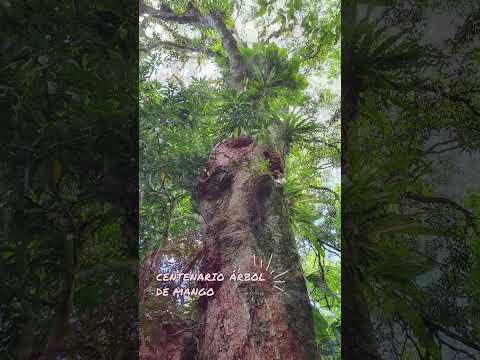 Descubre la belleza natural del Monte Lirio en Ronda