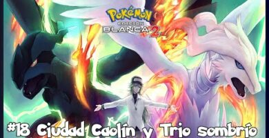 Lirio Pokemon: Descubre todo sobre este personaje en el mundo de Pokemon