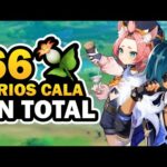 Lirio Cala en Genshin Impact: Todo lo que necesitas saber