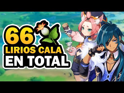 Lirio Cala en Genshin Impact: Todo lo que necesitas saber